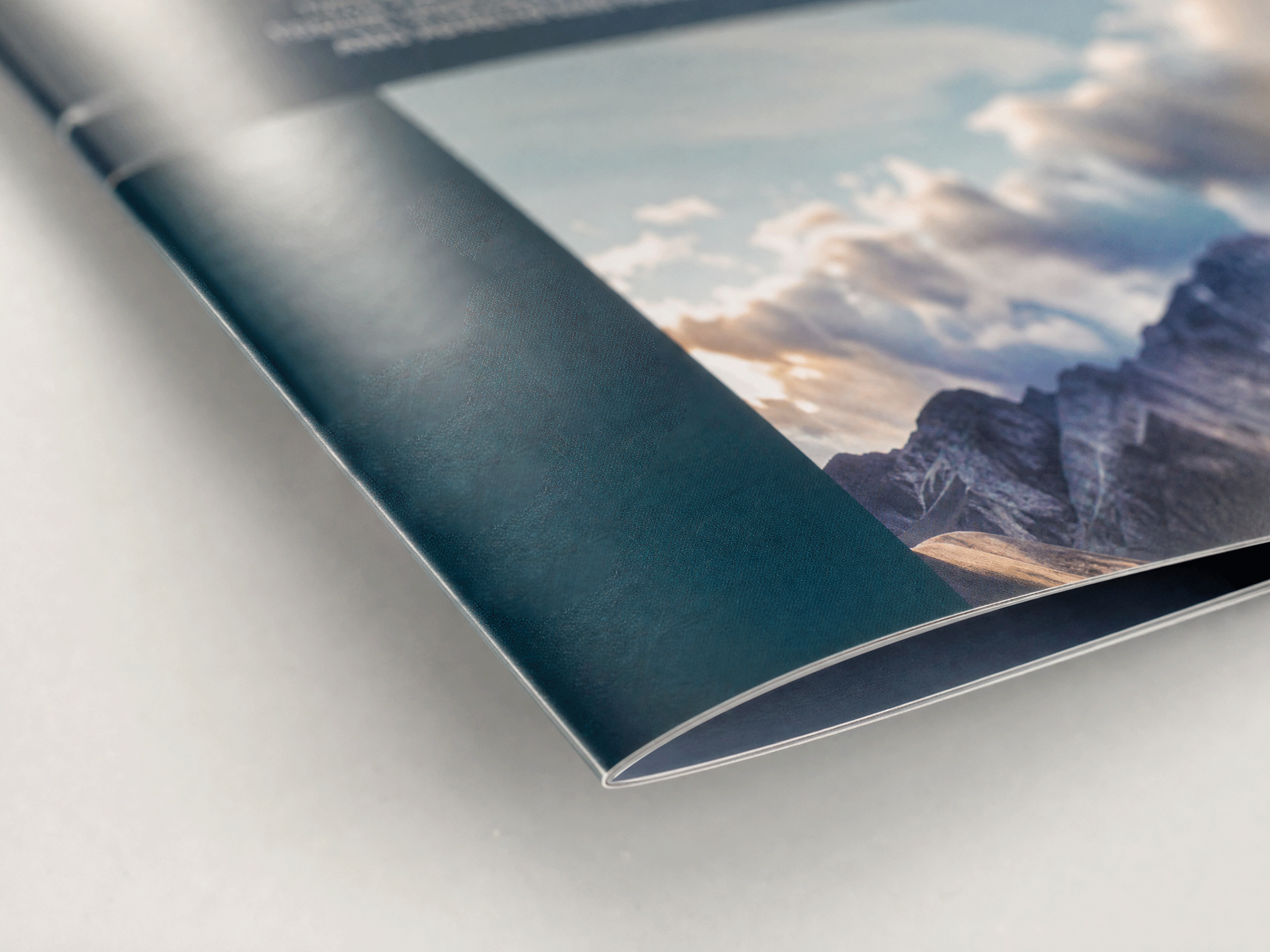 Bi-Fold Brochures - View 5