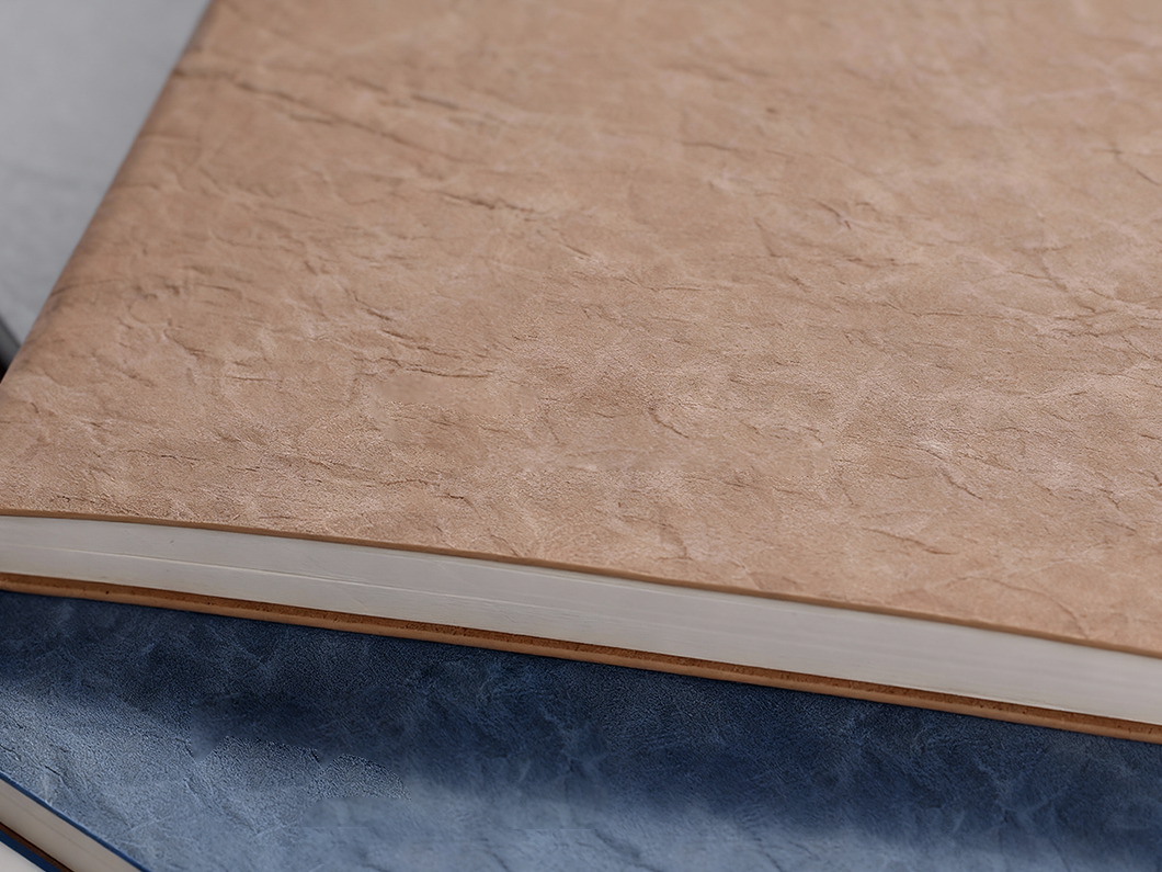PU Journal - View 3