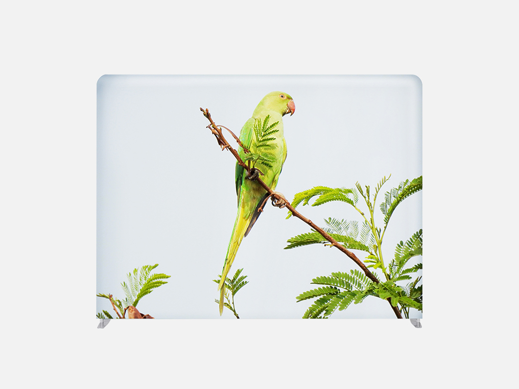 Straight Tension Fabric Backdrops - View 4