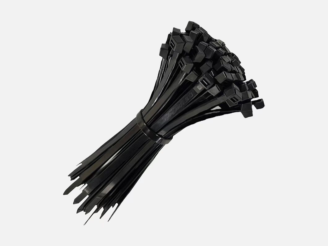 Zip Ties（pack of 100）