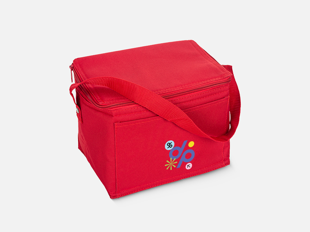 Small Insulated Cooler Bag