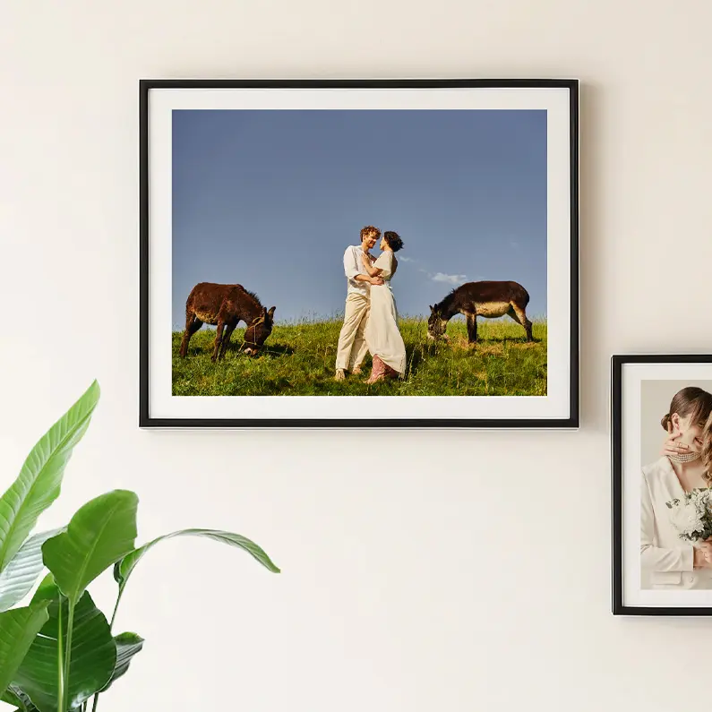 Framed Prints
